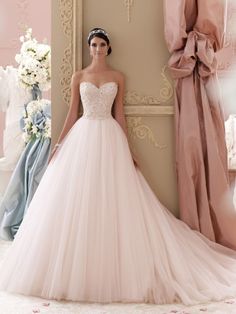 David Tutera