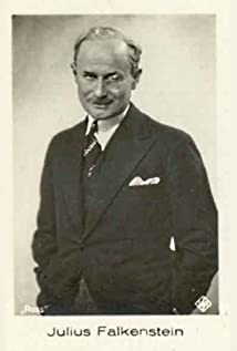 Julius Falkenstein